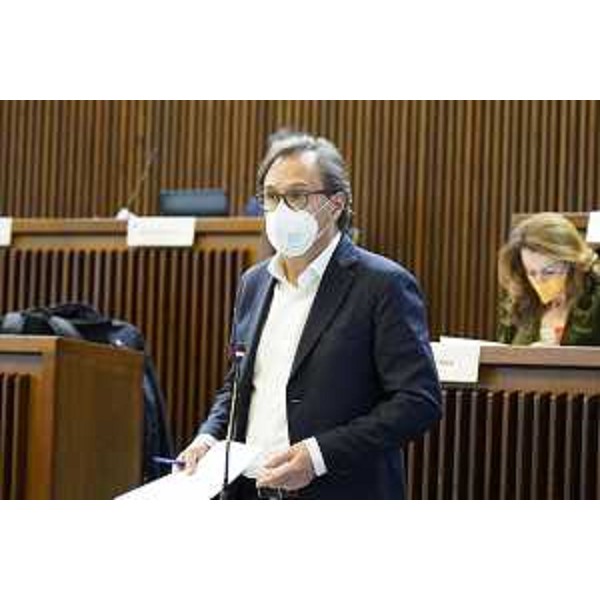 Mauro Di Bert (Progetto Fvg/Ar) - Mauro Di Bert (Progetto Fvg/Ar)