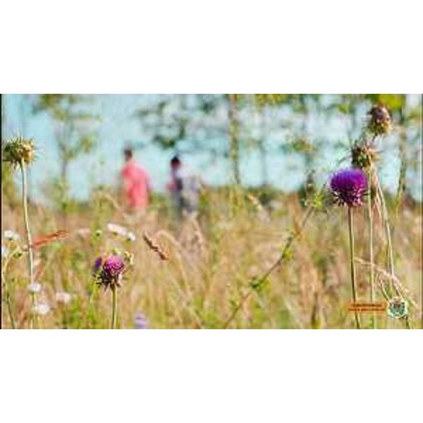 Un'immagine del Parco del Cormôr di Campoformido dal video del regista Massimo Garlatti-Costa. - Un'immagine del Parco del Cormôr di Campoformido dal video del regista Massimo Garlatti-Costa.