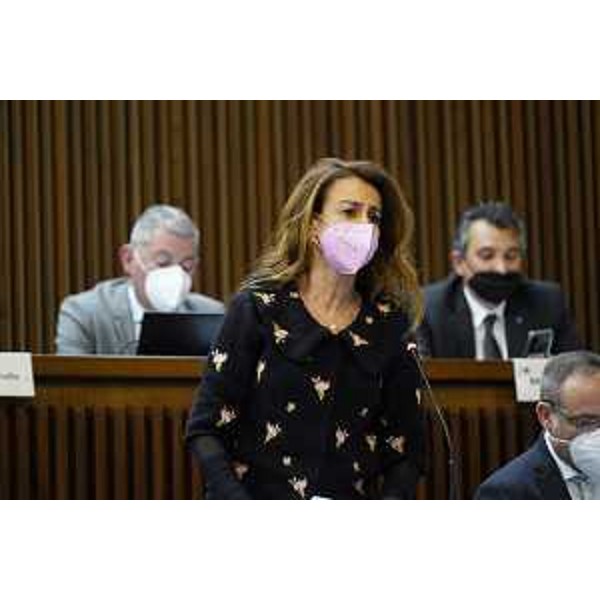 Mara Piccin (Forza Italia) - Mara Piccin (Forza Italia)