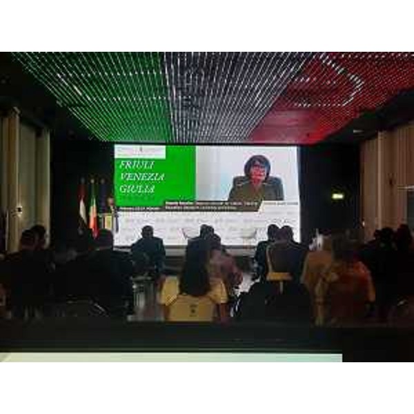 L'assessore regionale Alessia Rosolen durante il suo intervento all'Expo di Dubai - L'assessore regionale Alessia Rosolen durante il suo intervento all'Expo di Dubai