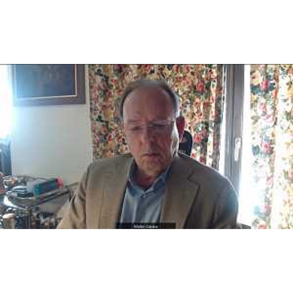 Walter Zalukar (Gruppo Misto) durante una videoconferenza - Walter Zalukar (Gruppo Misto) durante una videoconferenza