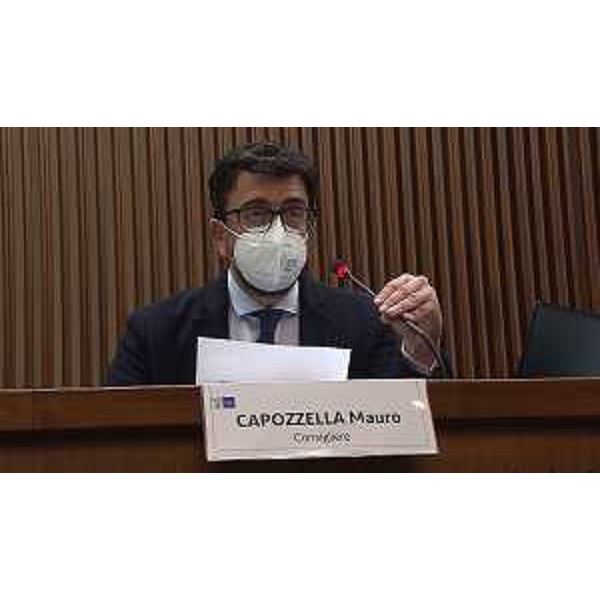 Mauro Capozzella (M5S) - Mauro Capozzella (M5S)