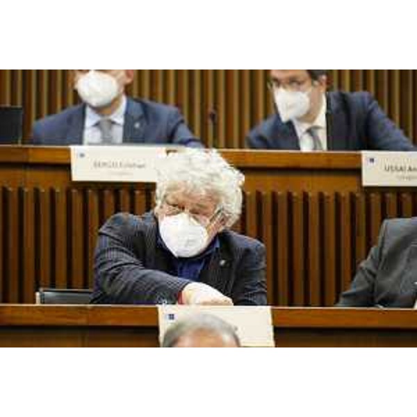 Elia Miani (Lega) - Elia Miani (Lega)