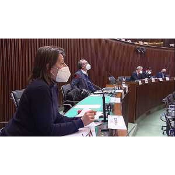 I Consiglieri in II Commissione, con in primo piano Chiara Da Giau (Pd) - I Consiglieri in II Commissione, con in primo piano Chiara Da Giau (Pd)