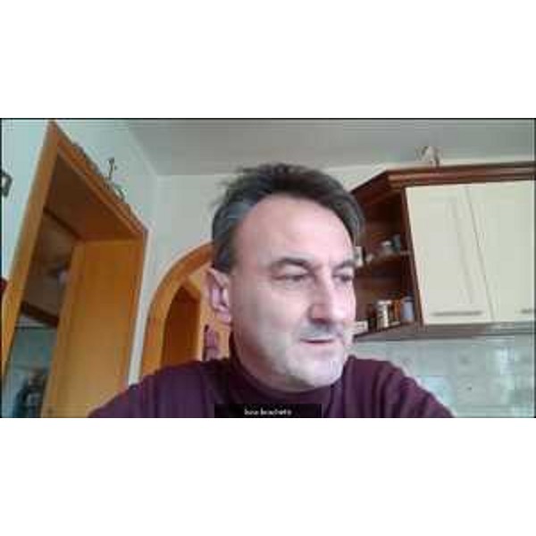 Luca Boschetti (Lega) in videoconferenza - Luca Boschetti (Lega) in videoconferenza