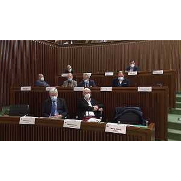 Franco Iacop (Pd), primo in alto a destra, con alcuni degli auditi al Tavolo della Terza ripartenza - Franco Iacop (Pd), primo in alto a destra, con alcuni degli auditi al Tavolo della Terza ripartenza