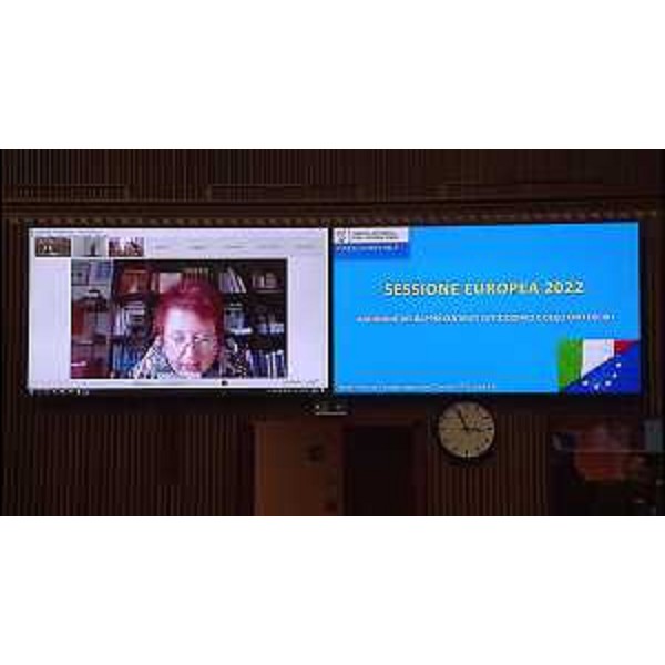 L'intervento di Tatjana Rojc (Pd) in videoconferenza - L'intervento di Tatjana Rojc (Pd) in videoconferenza