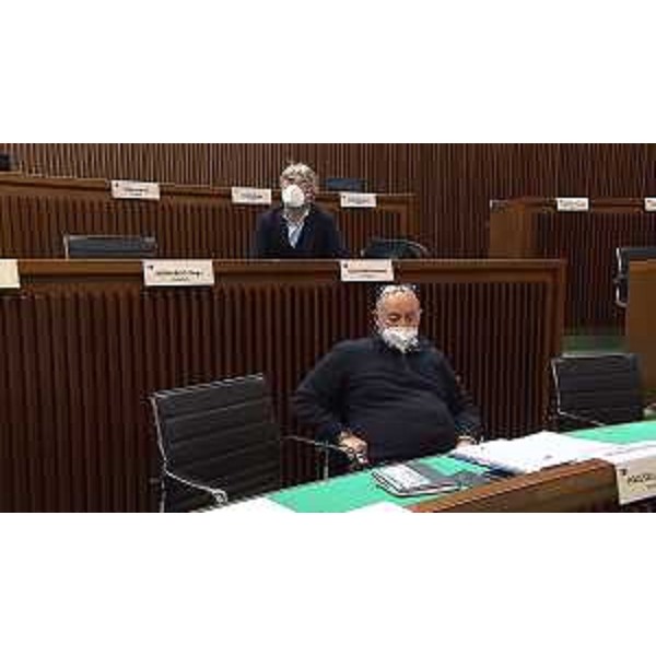 Lorenzo Tosolini (Lega) e il collega di gruppo Antonio Calligaris (in alto) - Lorenzo Tosolini (Lega) e il collega di gruppo Antonio Calligaris (in alto)