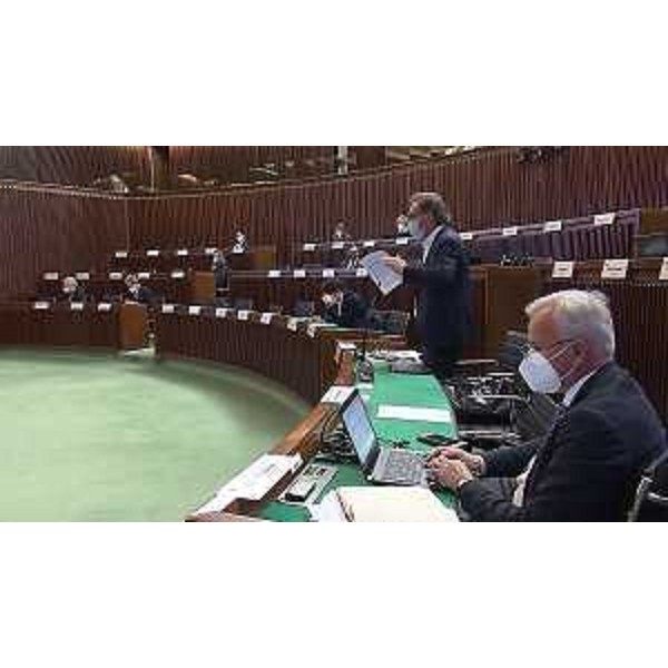 Mauro Di Bert (Progetto Fvg/Ar) - Mauro Di Bert (Progetto Fvg/Ar)