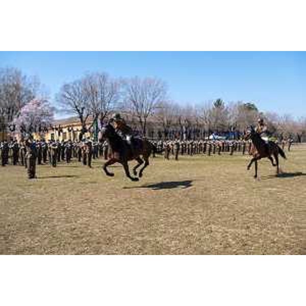Fasi della festa del Reggimento Piemonte Cavalleria in occasione della ricorrenza del combattimento della Sforzesca a Villa Opicina - Fasi della festa del Reggimento Piemonte Cavalleria in occasione della ricorrenza del combattimento della Sforzesca a Villa Opicina