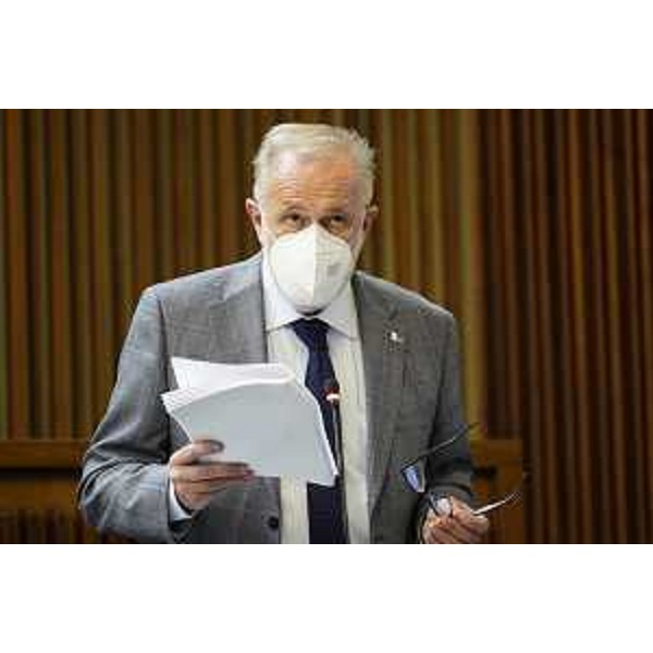 Emanuele Zanon (Futura) - Emanuele Zanon (Futura)