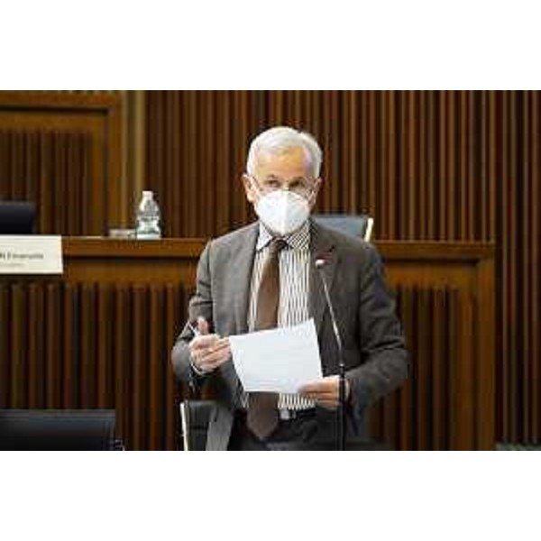 Giuseppe Sibau (Progetto Fvg/Ar) - Giuseppe Sibau (Progetto Fvg/Ar)