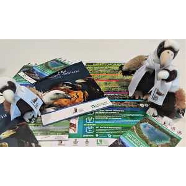 Il materiale informativo per gli eventi 2022 nella Riserva naturale regionale del lago di Cornino - Il materiale informativo per gli eventi 2022 nella Riserva naturale regionale del lago di Cornino 