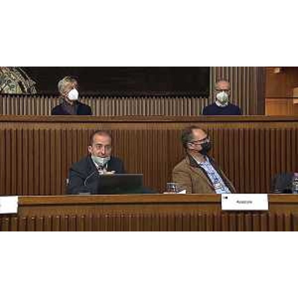 Gianluca Masotti e Michele Flaibani (ricercatori Ires Fvg) - Gianluca Masotti e Michele Flaibani (ricercatori Ires Fvg)