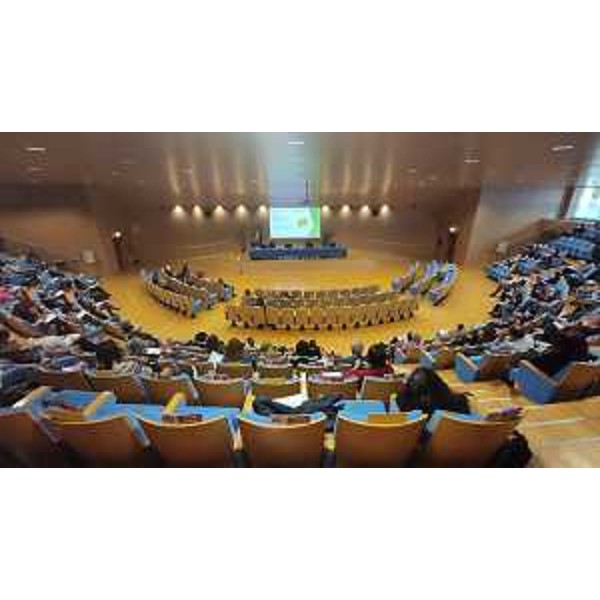 L'incontro all'auditorium Comelli, nella sede di Udine della Regione - L'incontro all'auditorium Comelli, nella sede di Udine della Regione