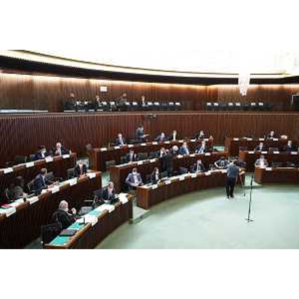 Il gruppo consiliare del Movimento 5 Stelle - Il gruppo consiliare del Movimento 5 Stelle