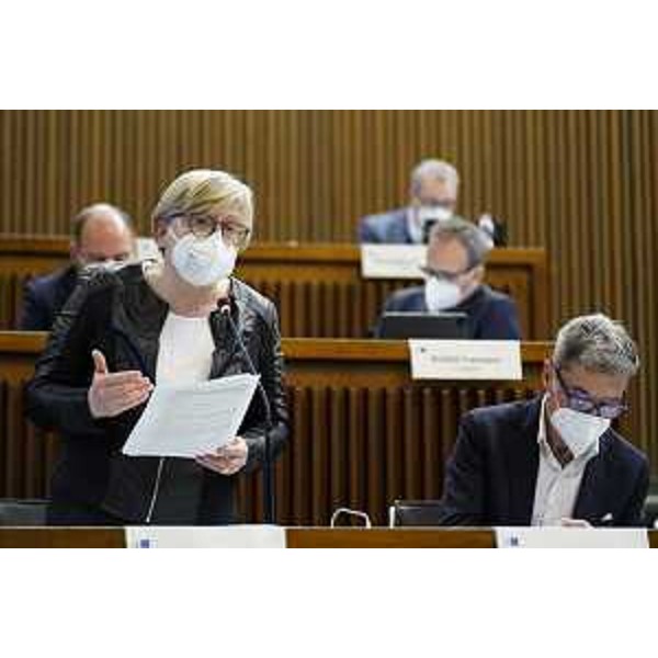 Il Gruppo dei Cittadini in Consiglio regionale - Il Gruppo dei Cittadini in Consiglio regionale 