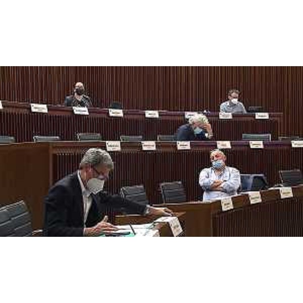 In alto a sinistra, la portavoce del M5S in IV Commissione consiliare - In alto a sinistra, la portavoce del M5S in IV Commissione consiliare