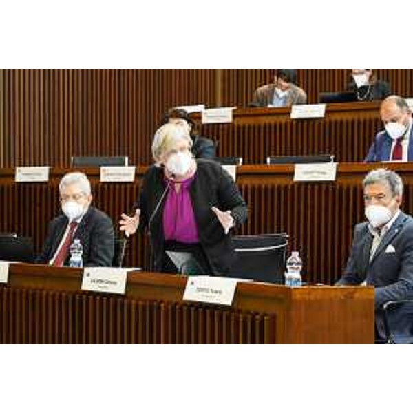 Interventi delle Opposizioni - Interventi delle Opposizioni