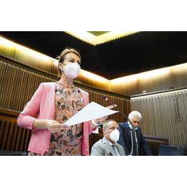 Il Gruppo di Forza Italia - Il Gruppo di Forza Italia