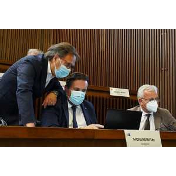 Il gruppo ProgettoFvg/Ar - Il gruppo ProgettoFvg/Ar