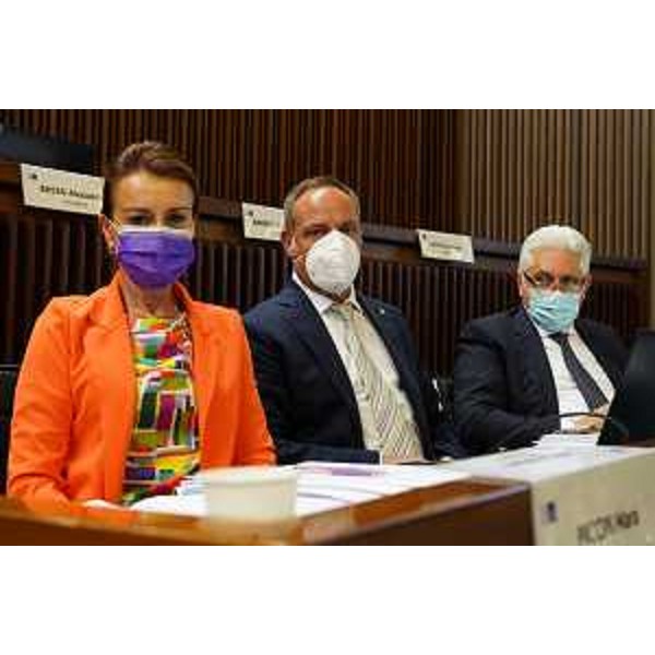 Il Gruppo di Forza Italia - Il Gruppo di Forza Italia