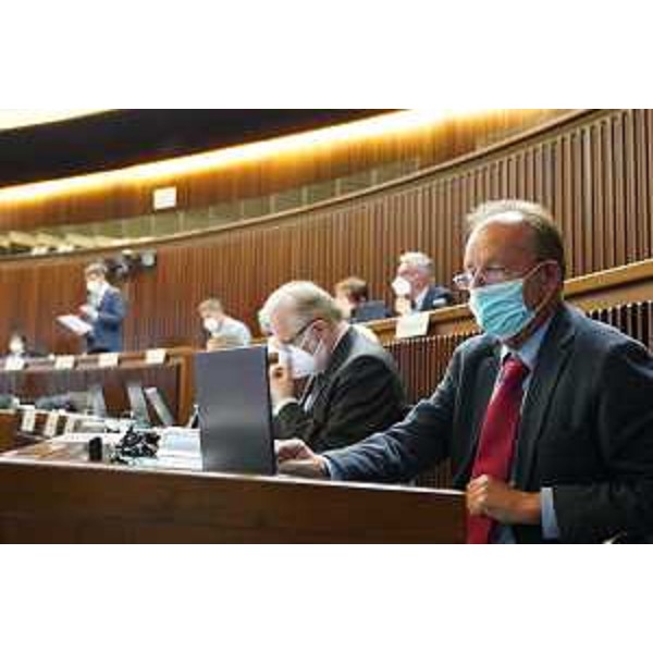 Consiglieri del Gruppo misto - Consiglieri del Gruppo misto