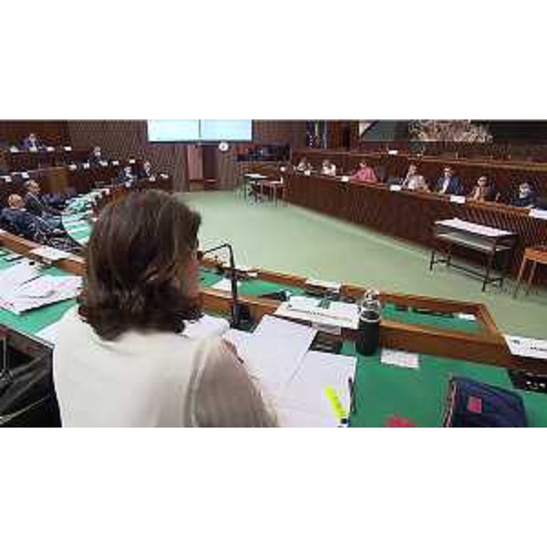 La IV Commissione consiliare - La IV Commissione consiliare