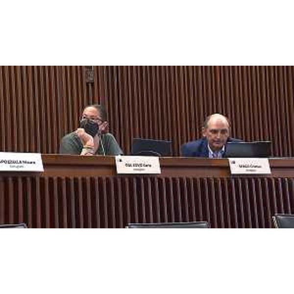 Ilaria Dal Zovo e Cristian Sergo (M5S) - Ilaria Dal Zovo e Cristian Sergo (M5S)