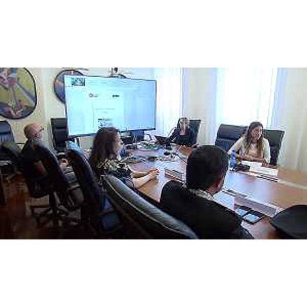 Luisa Pizzol mentre pesenta la pubblicazione - Luisa Pizzol mentre pesenta la pubblicazione