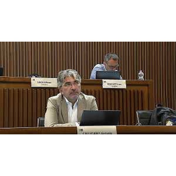 Antonio Calligaris (Lega) - Antonio Calligaris (Lega)