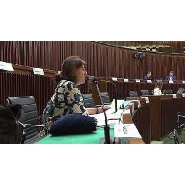 Mariagrazia Santoro (Pd) - Mariagrazia Santoro (Pd)