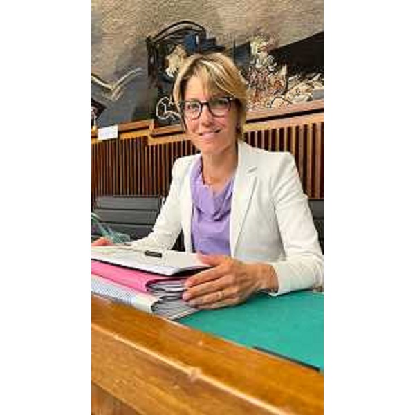 L'assessore regionale alle Finanze Barbara Zilli - L'assessore regionale alle Finanze Barbara Zilli