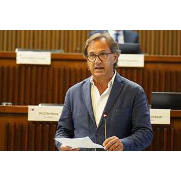 Mauro Di Bert (Progetto Fvg) - Mauro Di Bert (Progetto Fvg)