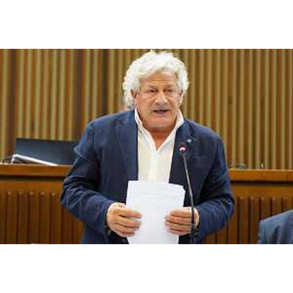 Elia Miani (Lega) - Elia Miani (Lega)