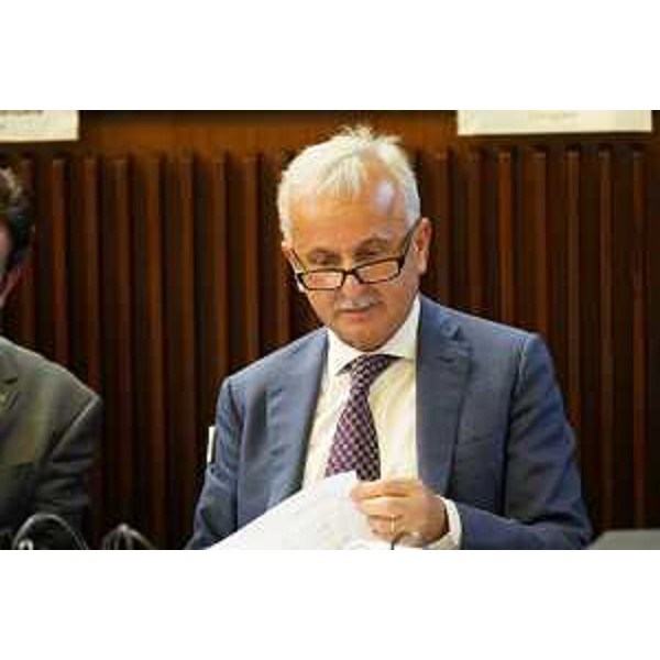 Giuseppe Sibau (Progetto Fvg/Ar) - Giuseppe Sibau (Progetto Fvg/Ar)