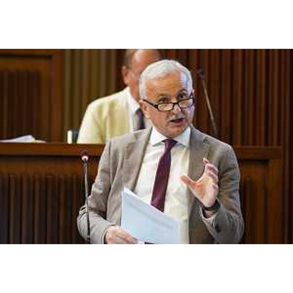 Giuseppe Sibau (Progetto Fvg/Ar) - Giuseppe Sibau (Progetto Fvg/Ar)