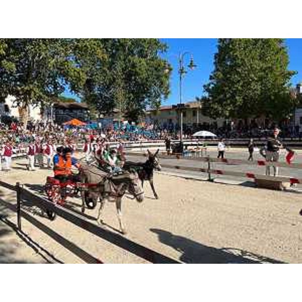 La prima batteria della 132° Corsa degli asini di Fagagna con lo starter istituzionale - La prima batteria della 132° Corsa degli asini di Fagagna con lo starter istituzionale