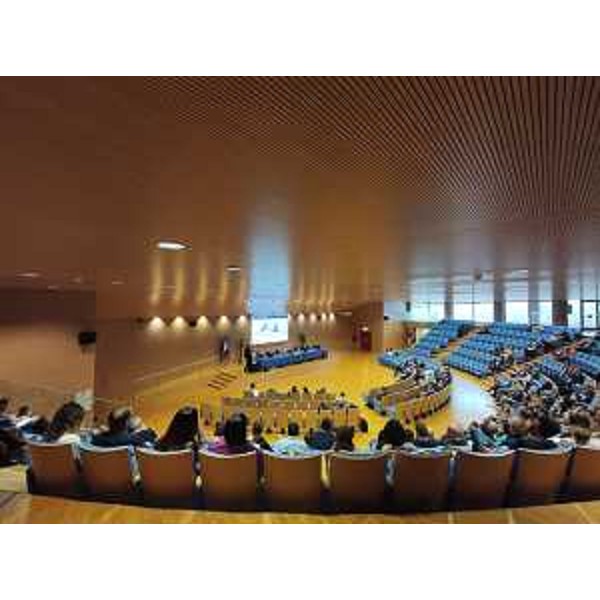 Una fase del convegno svoltosi oggi a Udine - Una fase del convegno svoltosi oggi a Udine