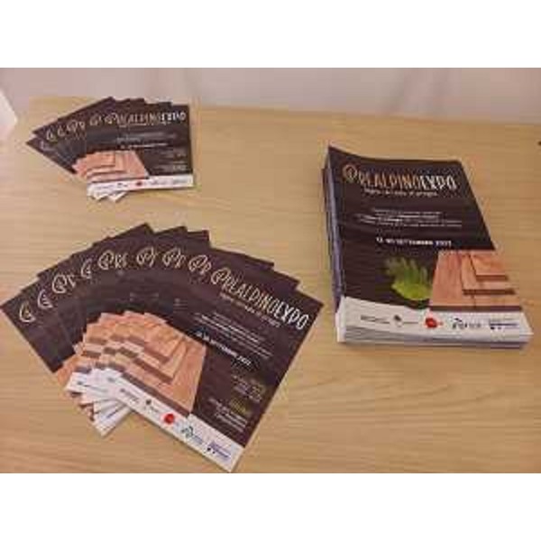 I volantini della mostra inaugurata oggi a Basaldella, frazione di Campoformido - I volantini della mostra inaugurata oggi a Basaldella, frazione di Campoformido