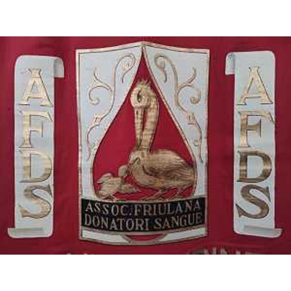 Il simbolo dell'Afds - Il simbolo dell'Afds 