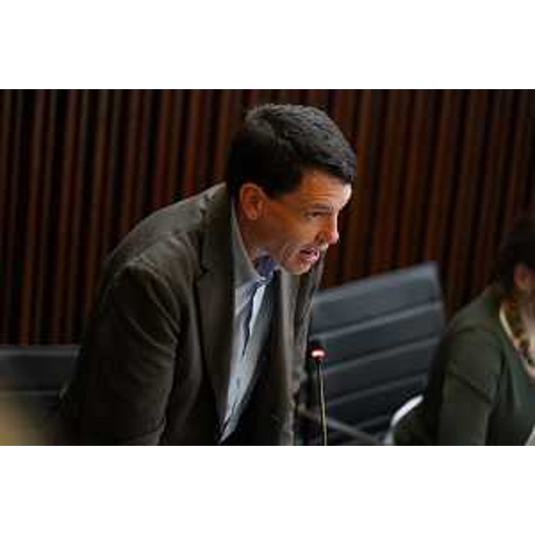 Nicola Conficoni (Pd) - Nicola Conficoni (Pd)