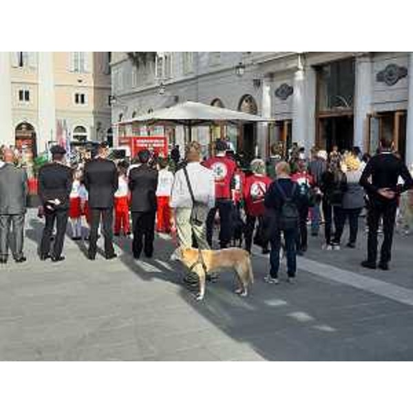 Animal Festival in piazza Verdi a Trieste - Animal Festival in piazza Verdi a Trieste