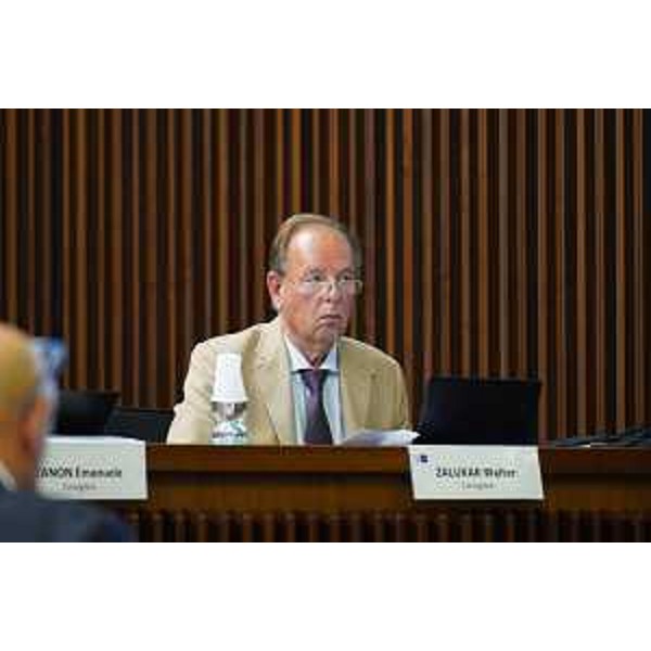 Walter Zalukar (Gruppo Misto) - Walter Zalukar (Gruppo Misto)