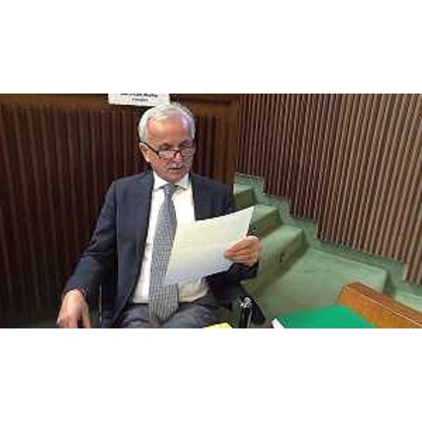 Giuseppe Sibau (Progetto Fvg/Ar) - Giuseppe Sibau (Progetto Fvg/Ar)