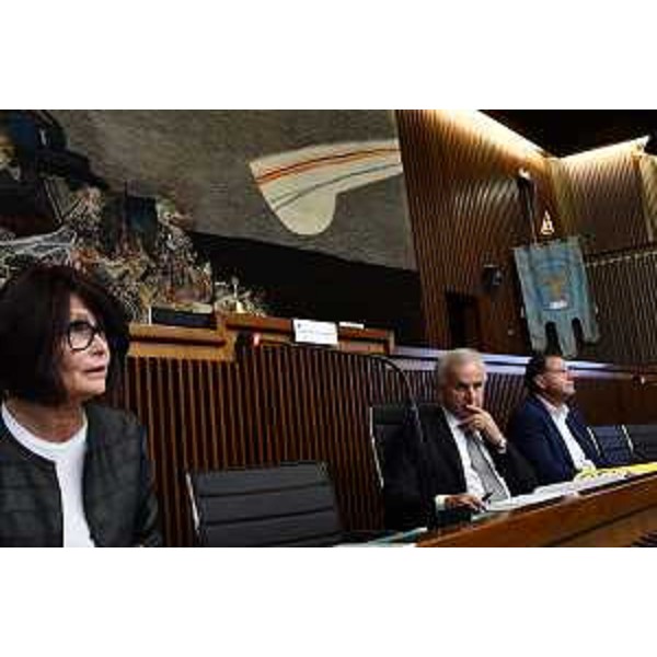 L'assessore regionale Alessia Rosolen durante i lavori della VI Commissione consiliare - L'assessore regionale Alessia Rosolen durante i lavori della VI Commissione consiliare