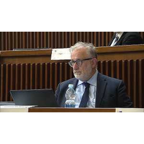 Emanuele Zanon (Regione Futura/Misto) - Emanuele Zanon (Regione Futura/Misto)