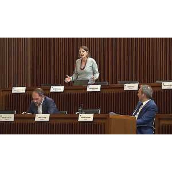 Chiara Da Giau, Cristiano Shaurli, Francesco Russo (Pd) - Chiara Da Giau, Cristiano Shaurli, Francesco Russo (Pd)