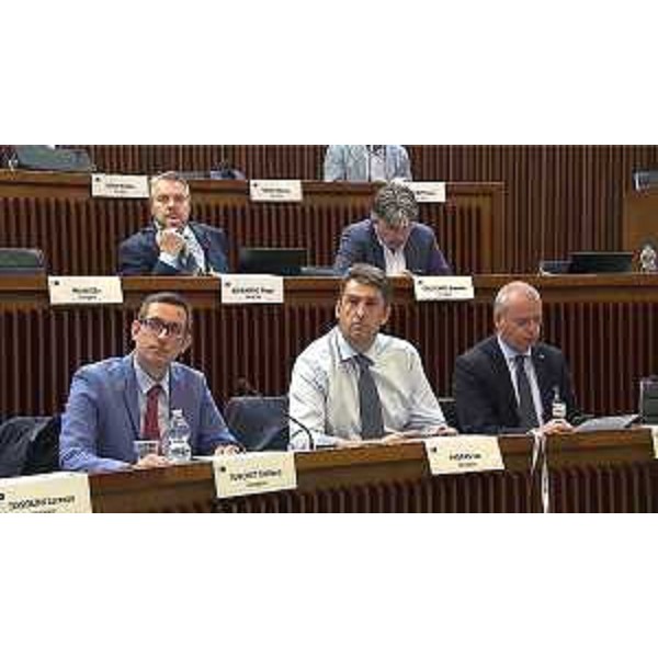 Alcuni degli auditi in IV Commissione consiliare - Alcuni degli auditi in IV Commissione consiliare