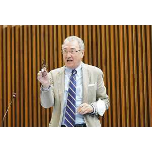 Sergio Bolzonello (Pd) - Sergio Bolzonello (Pd)